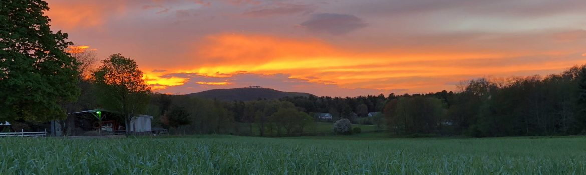 Sunset over the farm fields